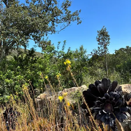 Santa Vakantiehuis Porto-Vecchio (Corsica)