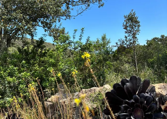 Santa Holiday home Porto-Vecchio (Corsica)